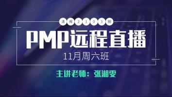 清晖2103期PMP远程11月周六直播班