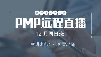 清晖PMP2305期远程直播12月周日班